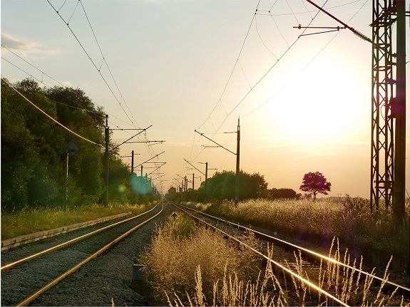 TRACE PICS-1-1_websait.jpg