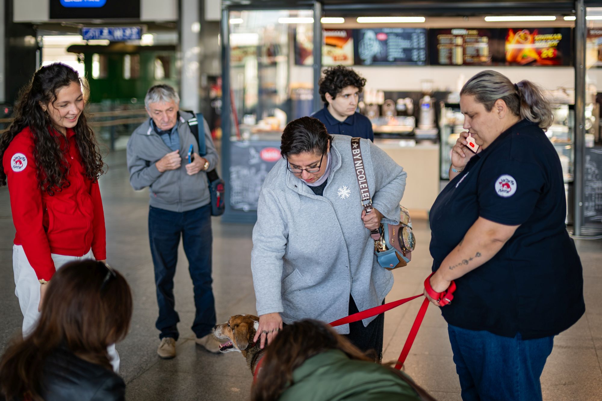 Four paws-1180.jpg